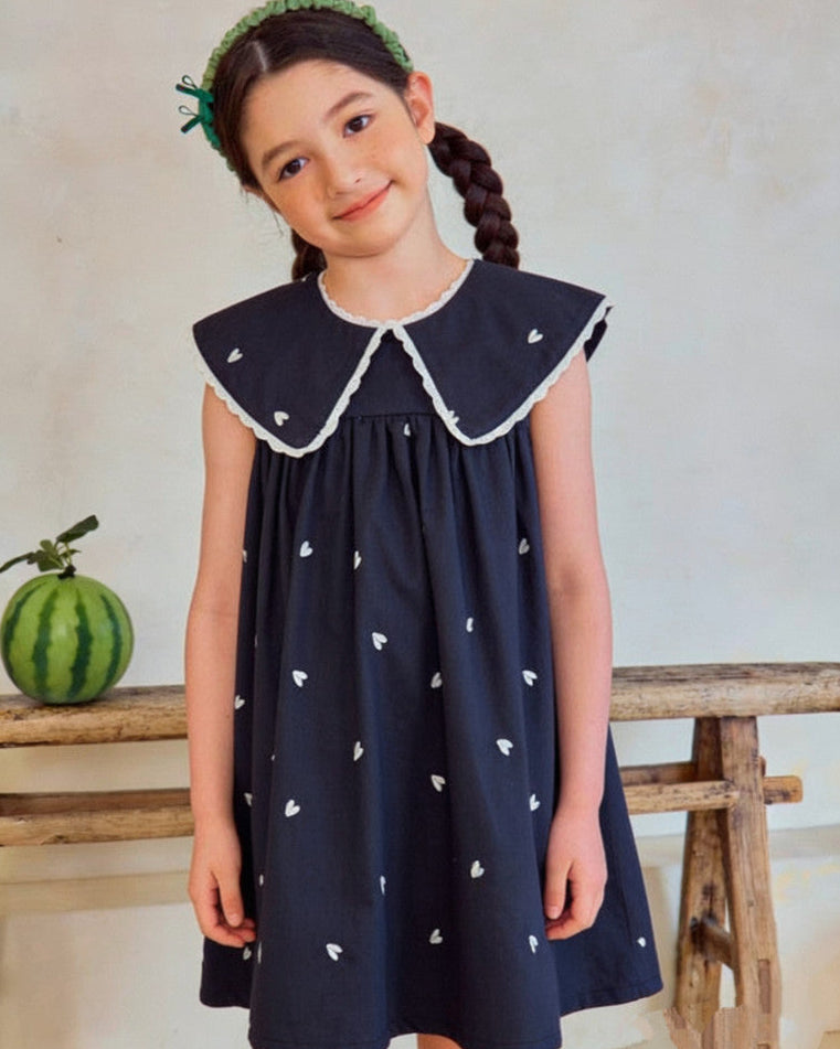 Sweetheart Navy Embroidery Dress