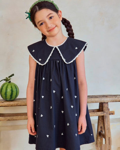 Sweetheart Navy Embroidery Dress