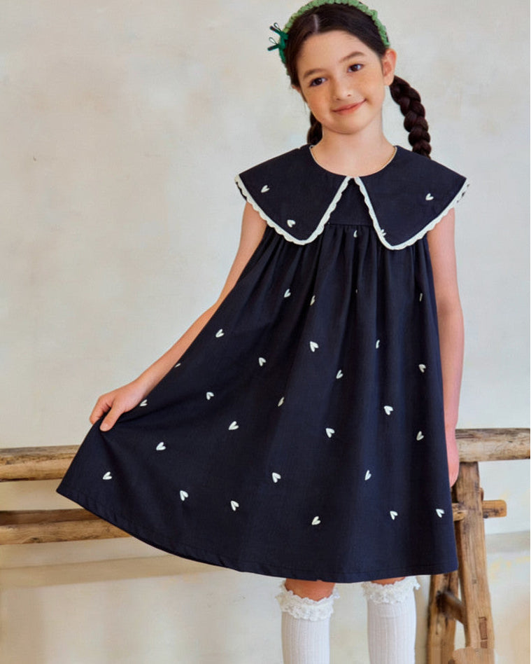 Sweetheart Navy Embroidery Dress