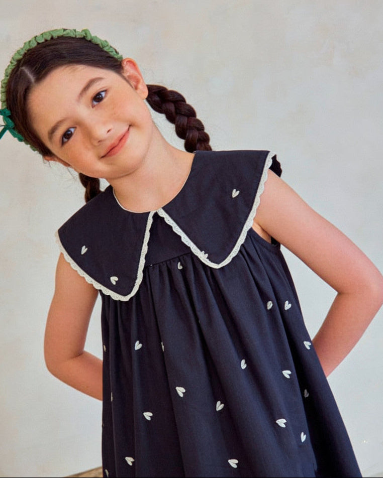 Sweetheart Navy Embroidery Dress