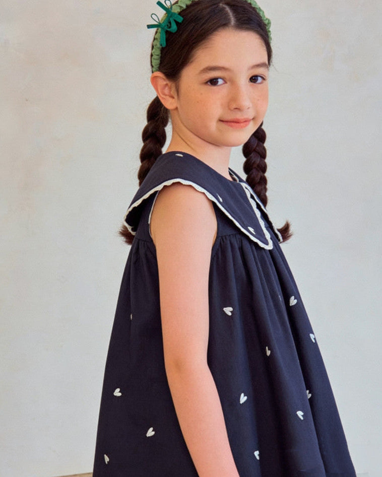 Sweetheart Navy Embroidery Dress